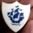 Blue Peter Badge Appeal