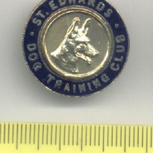 St Edwards Dog Training Club Bromley