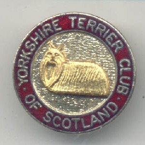 Yorkshire Terrier of Scotland Club