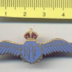 RAF Royal Air Force Wings