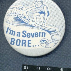 Severn Bore Surfers
