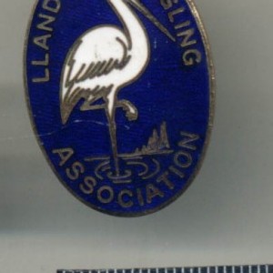 Llandeilo Angling Association