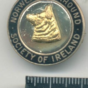 Norwegian Elkhound Society of Ireland