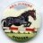 ABC Minors Cinema Club 1950-60s trade card badge Horses (Set 21)