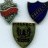 Prefect School Uniform badges