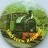 Talyllyn Railway