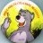 Baloo the Bear; The Jungle Book