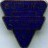 Butlin's Staff blue