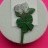 Macmillan Cancer - Twin White Roses