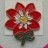 Macmillan Cancer - Dahlia
