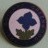The Guildry Greenwood Girls Guildry Scotland Girls Brigade